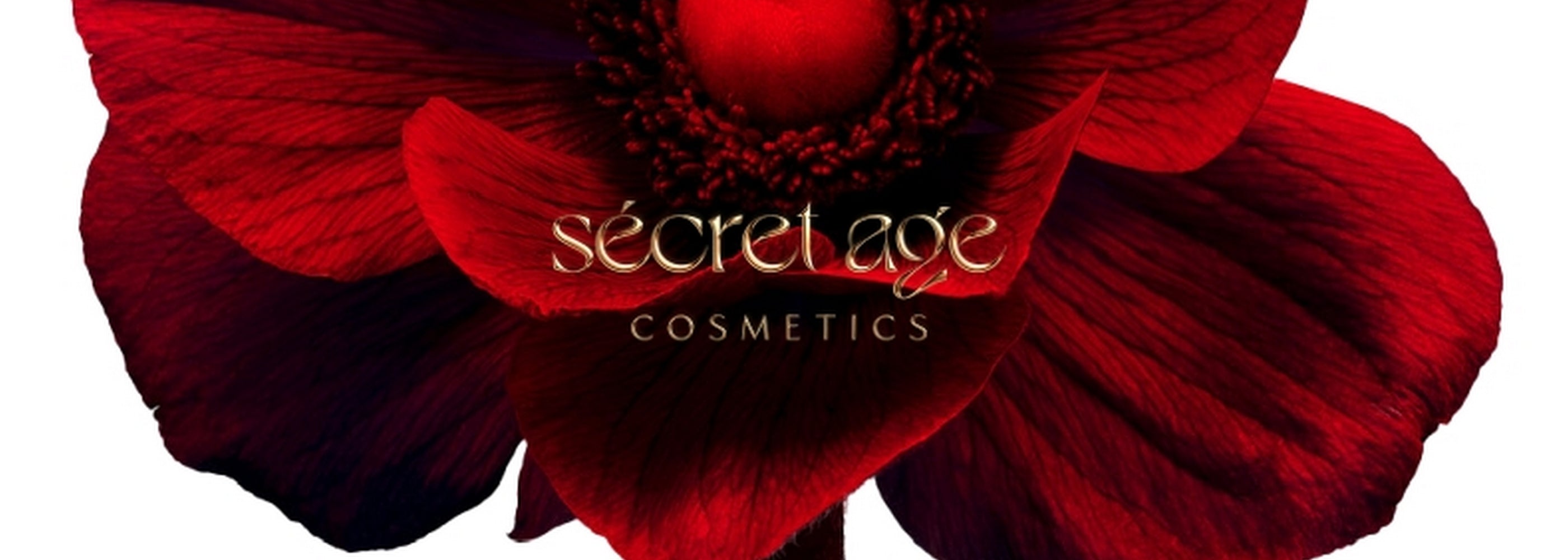 Secret Age Hakkında